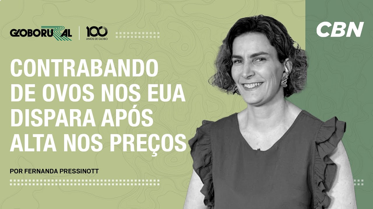 Contrabando de ovos nos EUA dispara após alta nos preços | Globo Rural