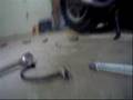 videos de Dadro Winter Projects 08/09