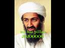 bin-laden-50x15.html