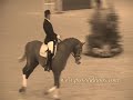 Horses - Let It Rock