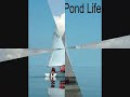 Wayfarer Sailing Video 2008