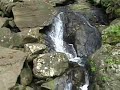 El Yunque - Rio Grande Puerto Rico