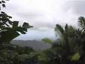 El Yunque - Rio Grande Puerto Rico
