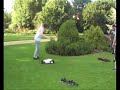 Ox Tricks and SilentMotion