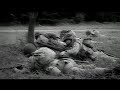 -historical-reenactment-battle-of-carentan.html