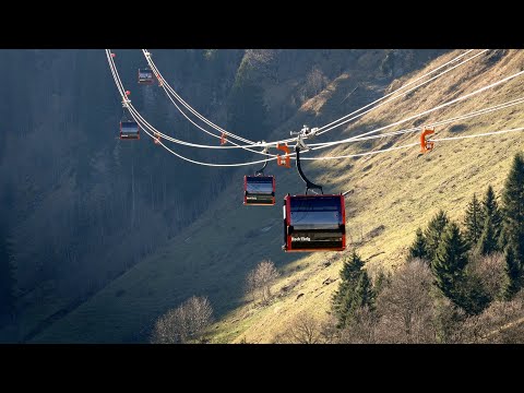 News Roundup: Boxing Day News Roundup: Boxing Day