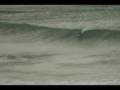 Dunedin Surf