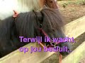 Galloppy ik vergeet jou nooit meer schatje.. Galloppy ik vergeet jou nooit meer schatje..