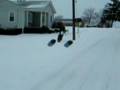 TRex 600 Fliying w/ floats in the snow