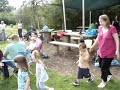 The Penquin Dance