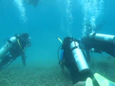 TOBELO HALMAHERA UTARA (Tobelo Scuba Diving) TOBELO HALMAHERA UTARA (Tobelo Scuba Diving)
