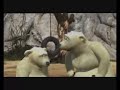 Polar Bears - The Breeding Programme