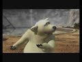 Polar Bears - The Breeding Programme