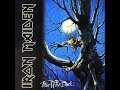 Wasting Love (sung by me) by Iron Maiden