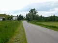 Honda CBR 929 RR Wheelie