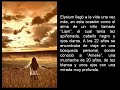 La historia de Laurelei & Elysium