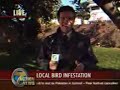BIRD CRAP ON LIVE TV ( MUST SEE ) BIRD CRAP ON LIVE TV ( MUST SEE )