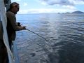 Arline Fishing Charters - Big Fish Part 1