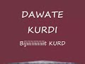 Kürtce Dügün Halaylar Karisik - Kurdish Wedding Dances Remix