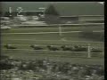 1982 Kentucky Derby 1982 Kentucky Derby