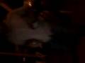 lalo0o pedo, y no te kites la tanga xk la jaiba te va picar