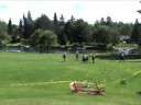 Highland Games: Bracebridge, 2008