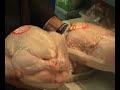 CHIKKAAAN
