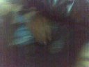 guate al damian xD guate al damian xD