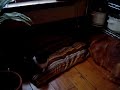 Cat Confiscates Dog's Pillow