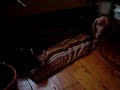My Cat Confiscates My Dog\ My Cat Confiscates My Dog\