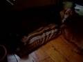 Cat-Confiscates-Dog-