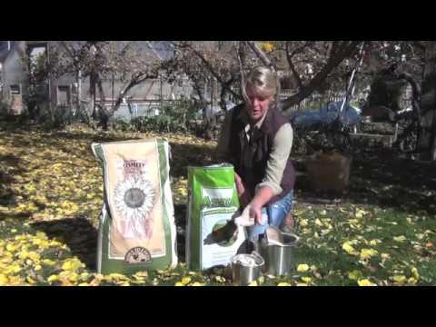 how to apply azomite to garden