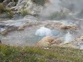 Spluger Geyser, Heart Lake Geyser Basin, Yellowstone National Park