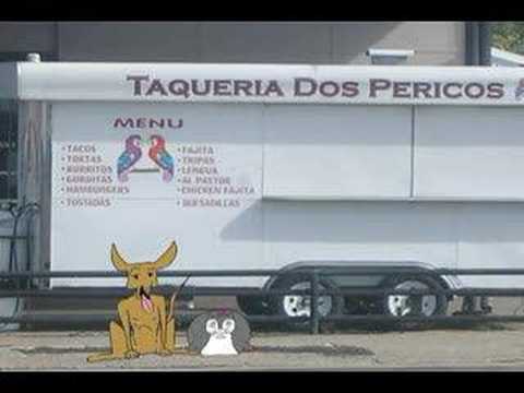 Chorro the Chihuahua and Frijole the ...