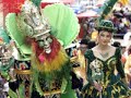 PAJA BRAVA - reyna de los andes