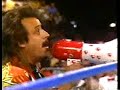 ultimate warrior vs earthquake