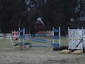 Yalambi's Uklahoma and Evie Buller