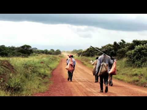 Image de prévisualisation YouTube