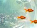 Ondergrond.TV and TWSTd QNSDY Free Festival commercial