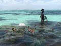 splash-indigo-ltd-mozambique.html
