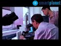 Crean una memoria informática con un virus biológico