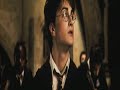 Education with Severus Education with Severus