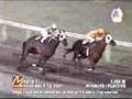 Nov-10-2007-Races-SL