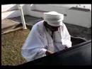 Omar Sosa