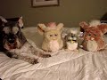 Furby Furby Furby # 1