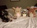Furby Furby Furby # 1
