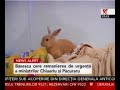 Mo-Nicolae-a-ajuns-i