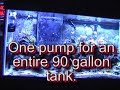 EcoTech Marine VorTech Pump