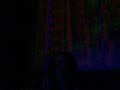 Johanna Mercker & Mirella Kroes @ Planet Rose Invites Ruis