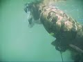 Lake Michigan Spearfishing Sheboygan Lake Michigan Spearfishing Sheboygan